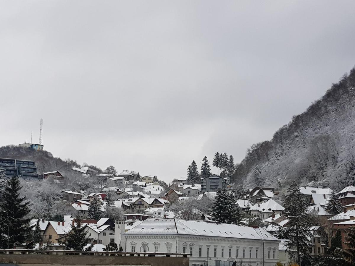 Winter Dream Home براشوف المظهر الخارجي الصورة